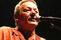 Wolfgang Ambros